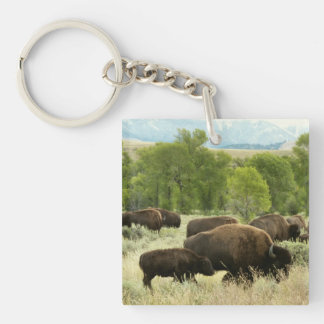 Llavero Fotografía de animales de la naturaleza de Wyoming