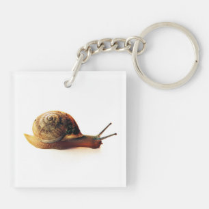 Llavero Fotografía de caracol de jardín en la naturaleza