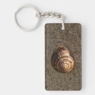 Llavero Fotografía de caracol de jardín en la naturaleza