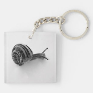 Llavero Fotografía de caracol de jardín en la naturaleza