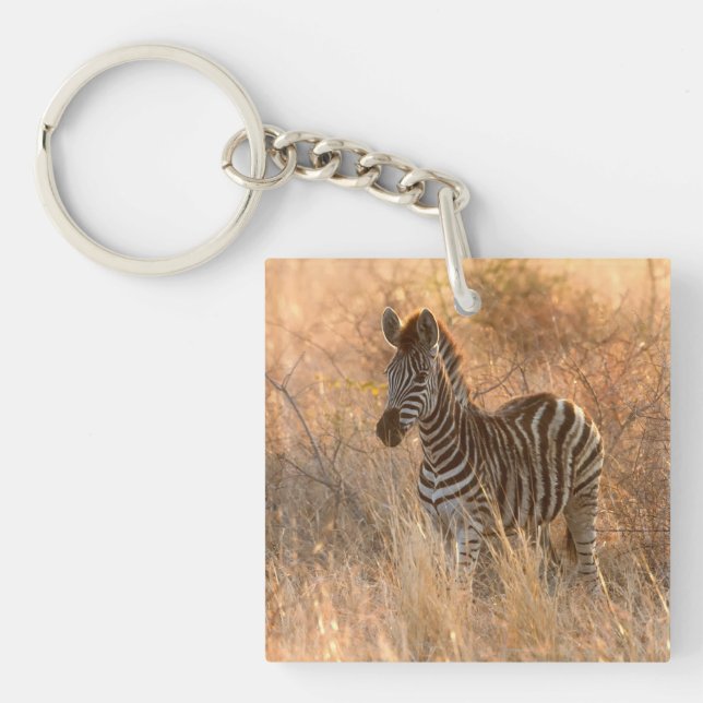 Llavero Fotografía de cebra foie en amanecer (Frente)