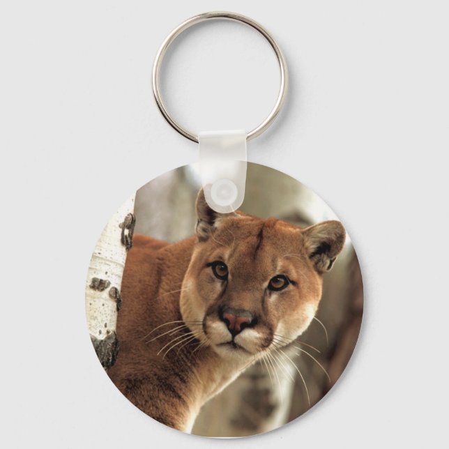 Llavero Fotografía de Cougar (Anverso)