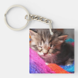 Llavero Fotografía de gatito recién nacido suave y somnoli