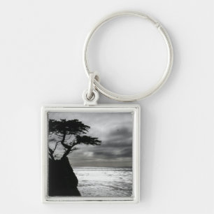 Llavero Fotografía de la naturaleza blanco y negro
