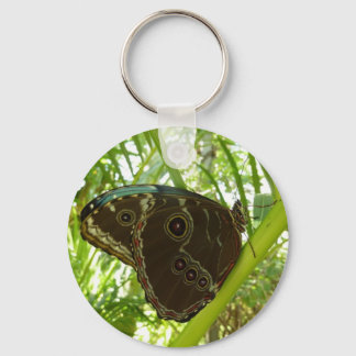 Llavero Fotografía de la naturaleza de la mariposa morfa a