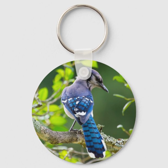 Llavero Fotografía de la naturaleza Regalos de Jay Shy Blu (Anverso)