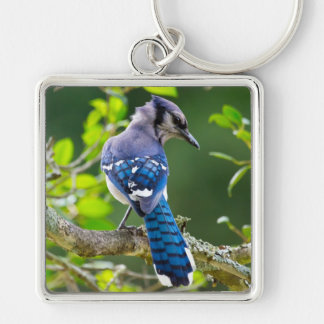 Llavero Fotografía de la naturaleza Regalos de Jay Shy Blu