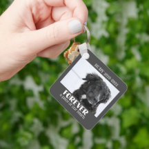 Fotografía de la Solidaridad en Memoria del mascot