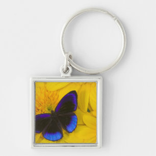 Llavero Fotografía de Mariposa