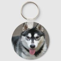 Fotografía de perro malamute de Alaskan