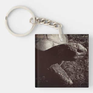 Llavero Fotografía de tortuga en Sepia