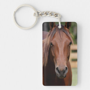 Llavero Fotografía del caballo en la cadena de llaves