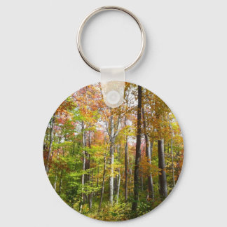 Llavero Fotografía paisajística de otoño en el bosque otoñ