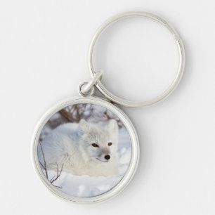 Llavero Fox ártica en invierno