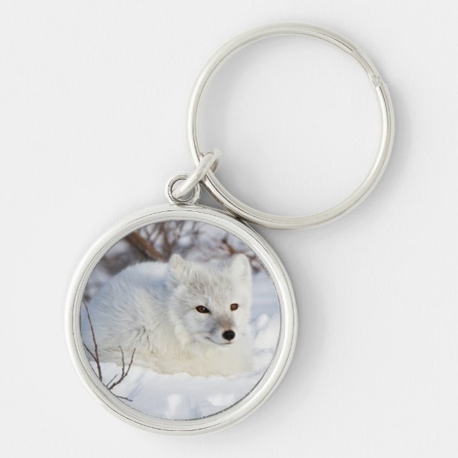Llavero Fox ártica en invierno (Frente)