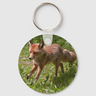 Llavero Fox en ejecución