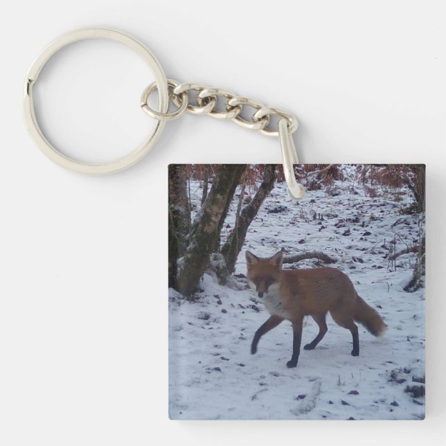 Llavero Fox roja en nieve (Frente)