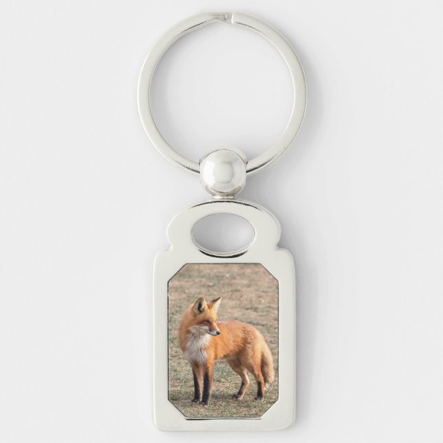Llavero Fox rojo en un campo (Anverso)
