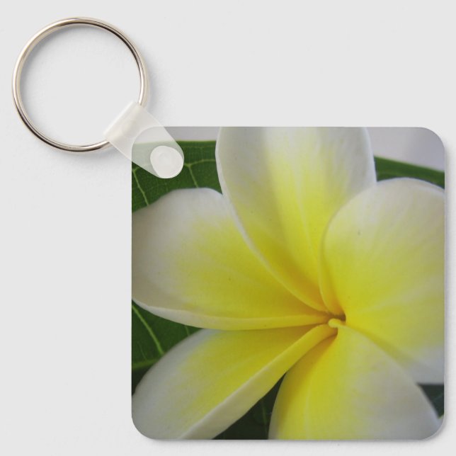 Llavero Frangipani Blanco Y Amarillo (Anverso)