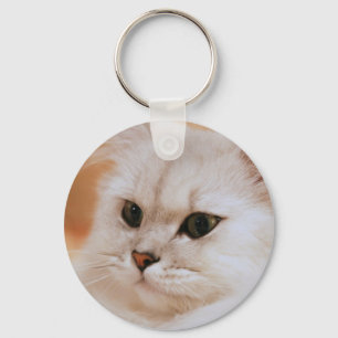 Llavero Freddie ~ Chinchilla Persian