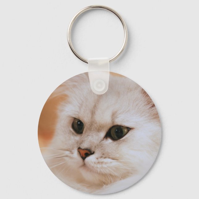 Llavero Freddie ~ Chinchilla Persian (Anverso)