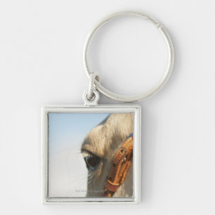 Llavero Freno del caballo