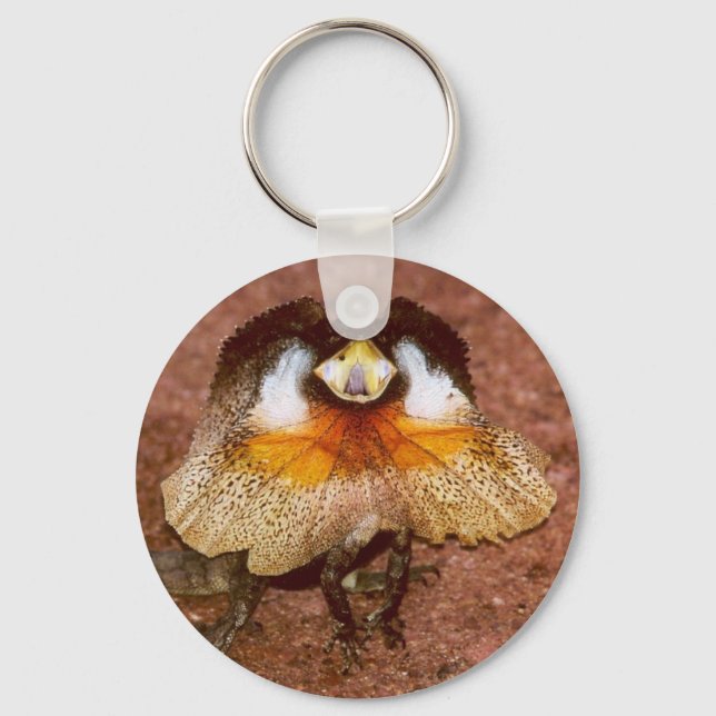 Llavero Frilled Lizard - Chlamydosaurus kingii (Anverso)