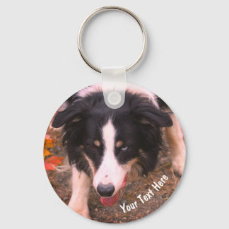 Llavero Frontera Collie Stare Dog personalizada