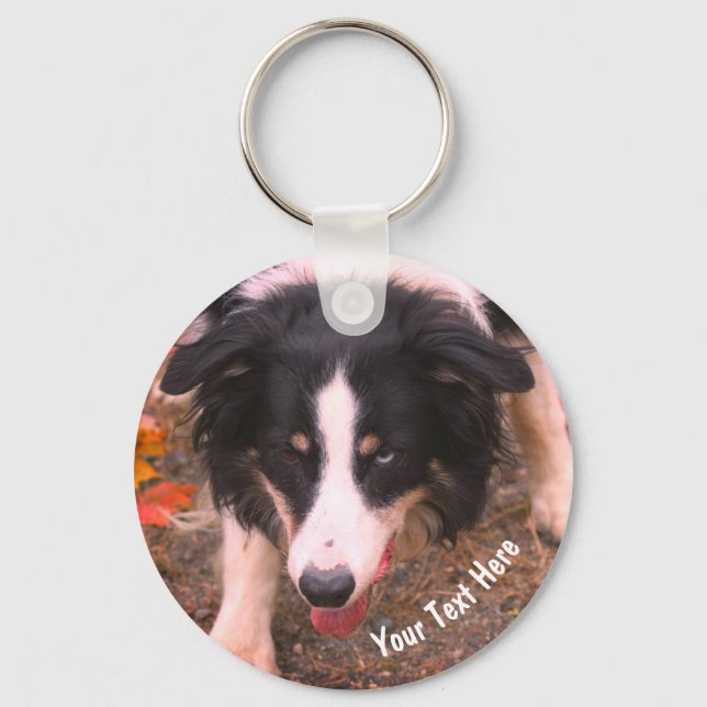 Llavero Frontera Collie Stare Dog personalizada (Anverso)