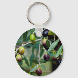 Llavero Fruta oliva creciendo en el árbol