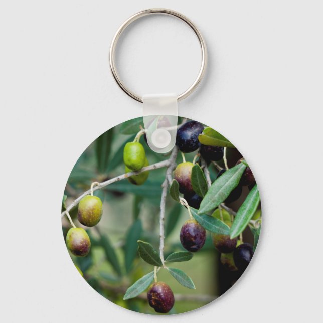 Llavero Fruta oliva creciendo en el árbol (Anverso)