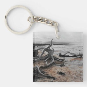 Llavero Fuerzas Naturales del Lago Tyrrell