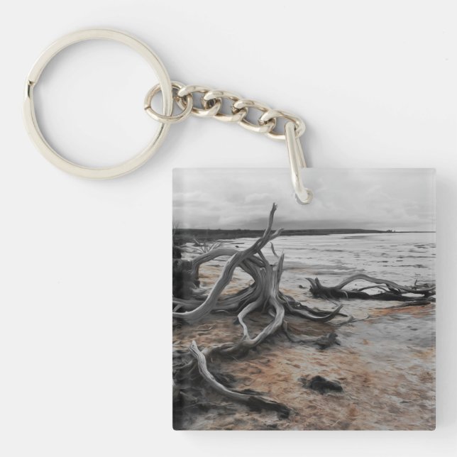 Llavero Fuerzas Naturales del Lago Tyrrell (Frente)