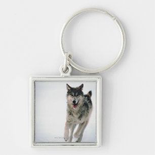 Llavero Funcionamiento del lobo gris