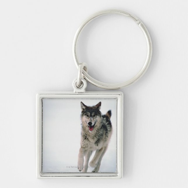 Llavero Funcionamiento del lobo gris (Frente)