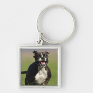 Llavero Funcionamiento del perro