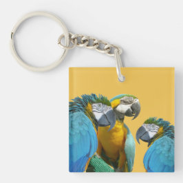Llavero Funny Talking Parrots Cust. Texto + cadena de colo