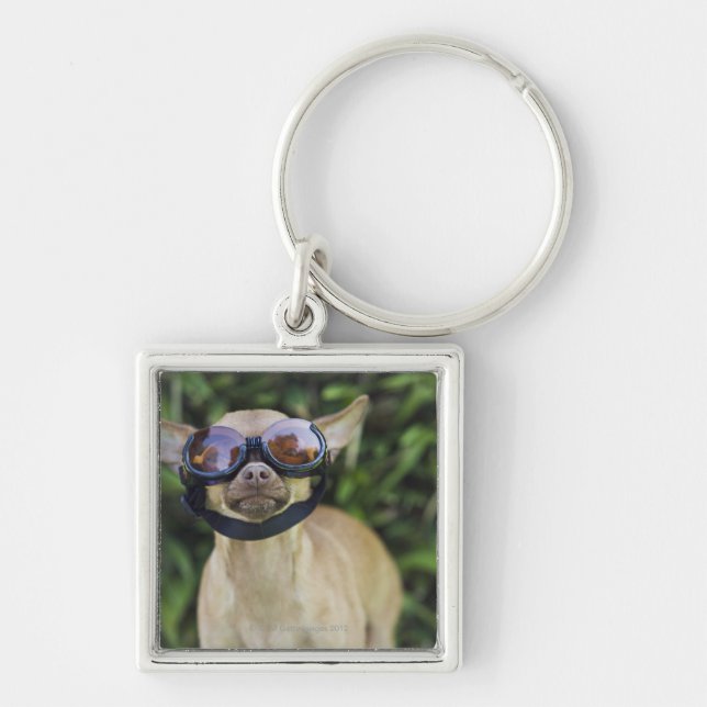 Llavero Gafas que llevan de la chihuahua (Frente)
