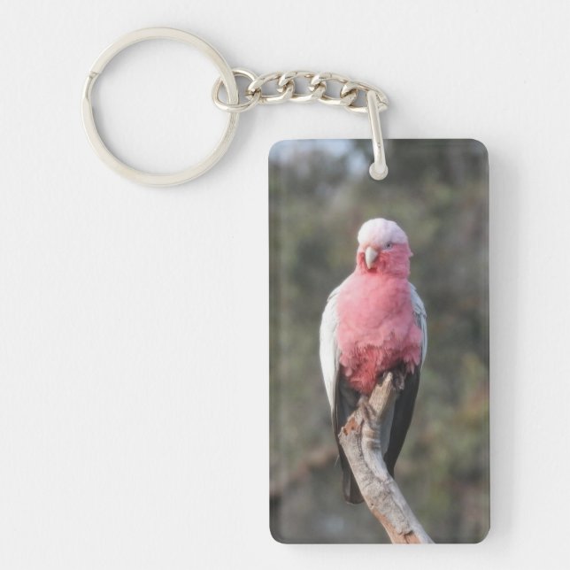 Llavero Galah (Frente)
