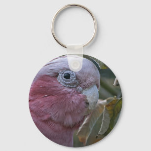 Llavero Galah o Cacatúa de pecho rosado