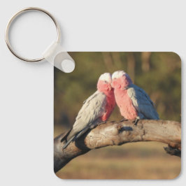 Llavero Galahs rosados