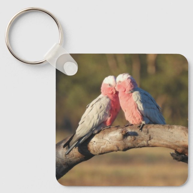Llavero Galahs rosados (Anverso)