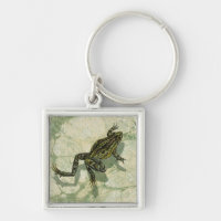 Ganancia de toad en el agua