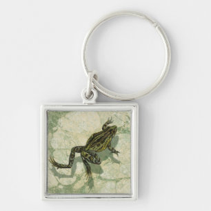 Llavero Ganar toad en el agua