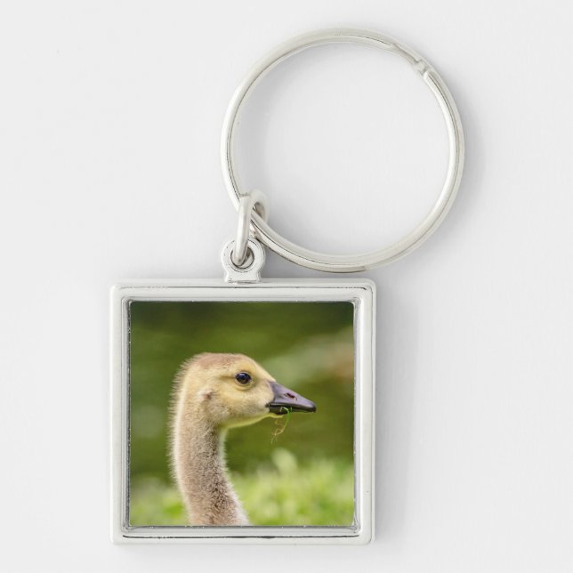 Llavero Ganso Canadiense (Gosling) (Frente)