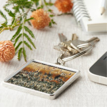 Gansos y patos vagan arte