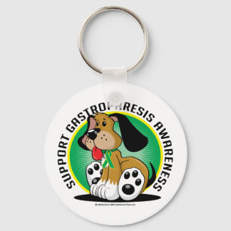 Llavero Gastroparesis Perro