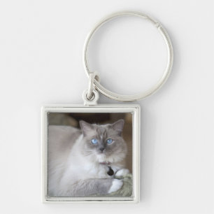 Llavero Gata Ragdoll hembra