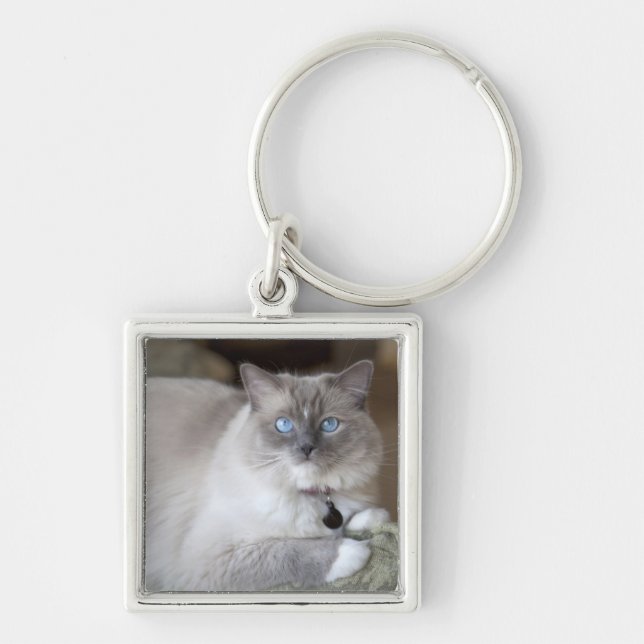 Llavero Gata Ragdoll hembra (Frente)