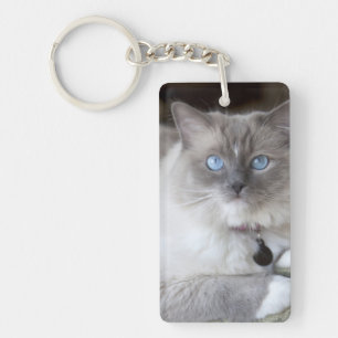 Llavero Gata Ragdoll hembra